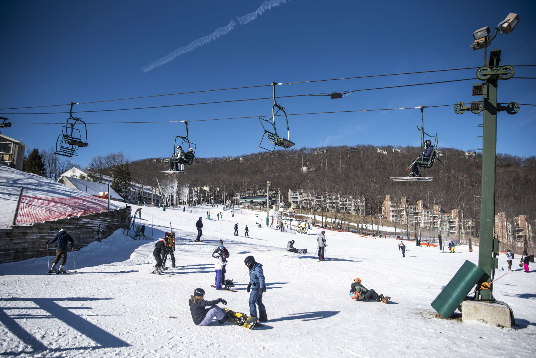 Wintergreen